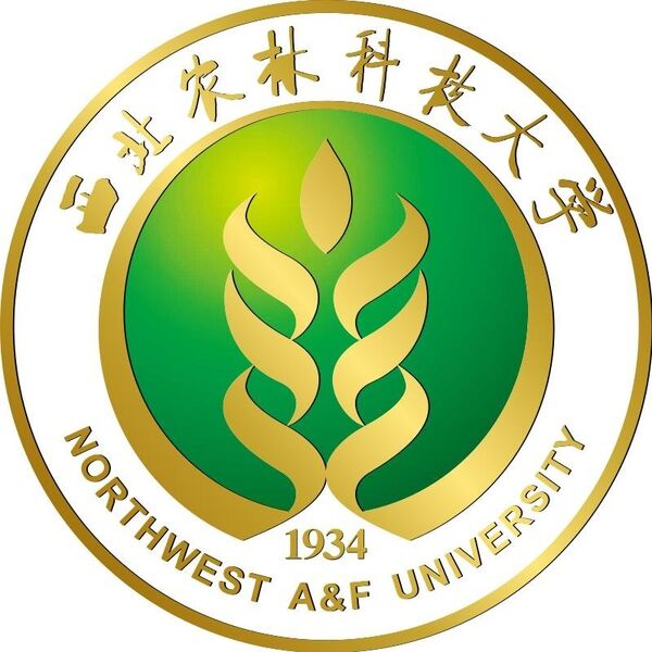 Cooperative Brand Logo