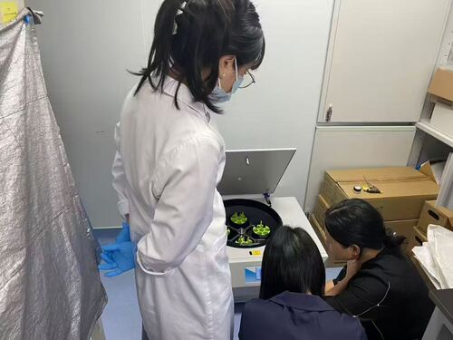 Latest company news about High-Capacity Centrifuges Gain Popularity in Clinical Laboratories